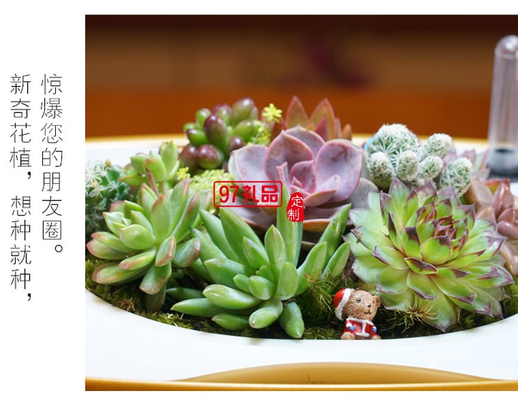 宜植愛(ài).智能種植機(jī)辦公室盆景定制公司廣告禮品