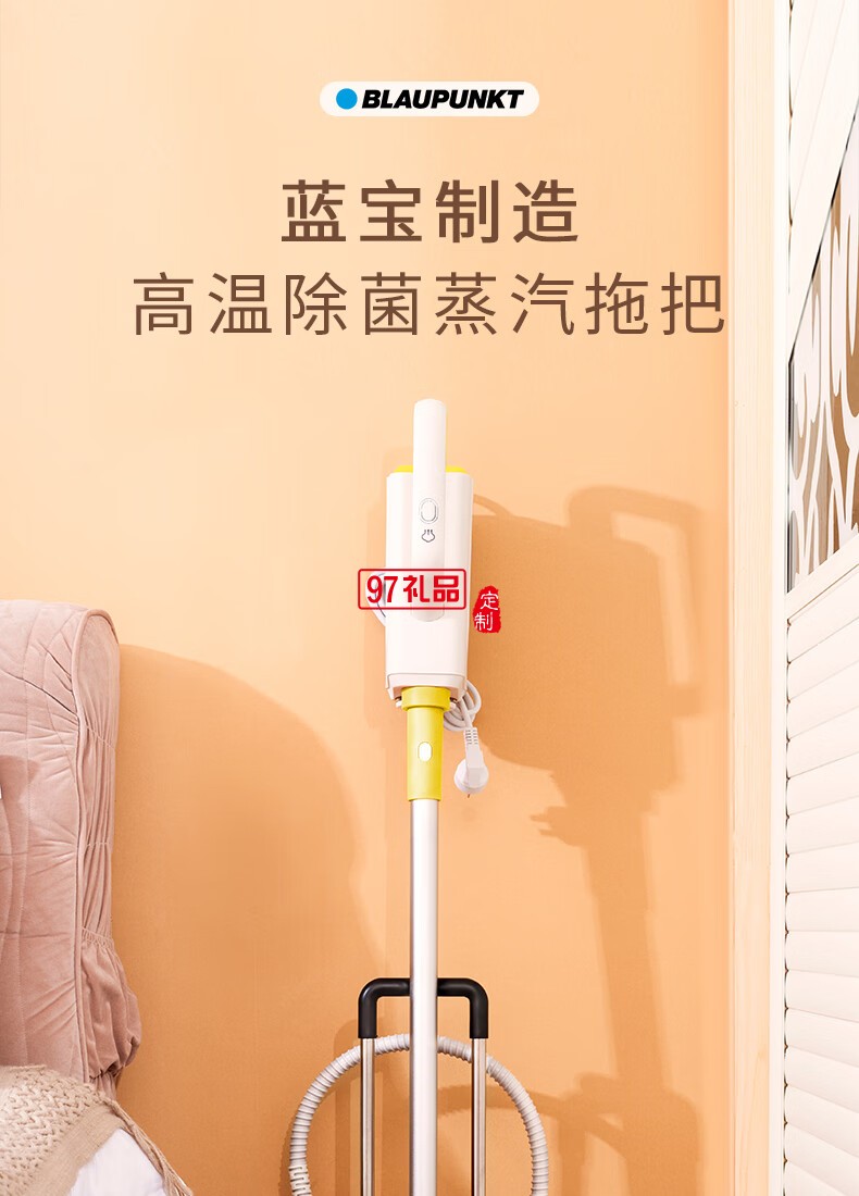 藍(lán)寶·多功能蒸汽清潔機 